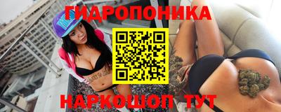 СК Гусев