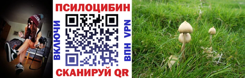 Псилоцибиновые грибы мицелий  hydra ТОР  Людиново 