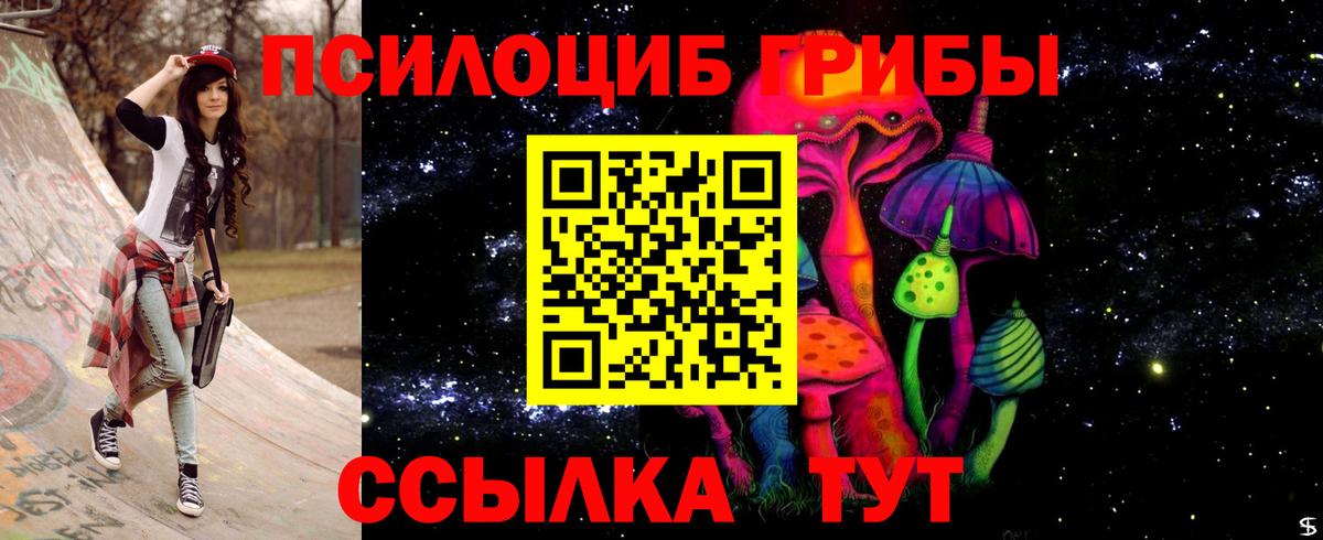 Людиново  Псилоцибиновые грибы Cubensis  Вход с VPN 